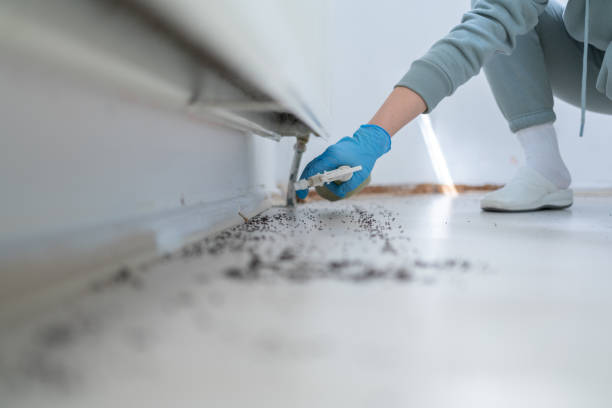 Best Pest Inspection Near Me  in Dillingham, AK